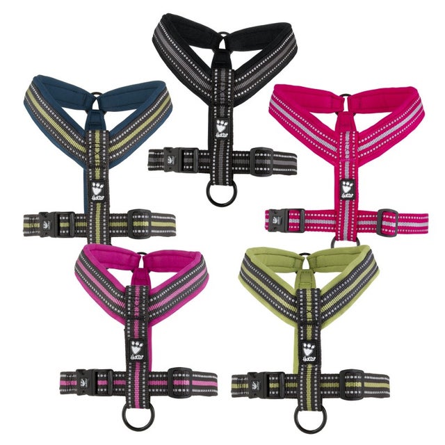 Hurtta 2024 xsport harness